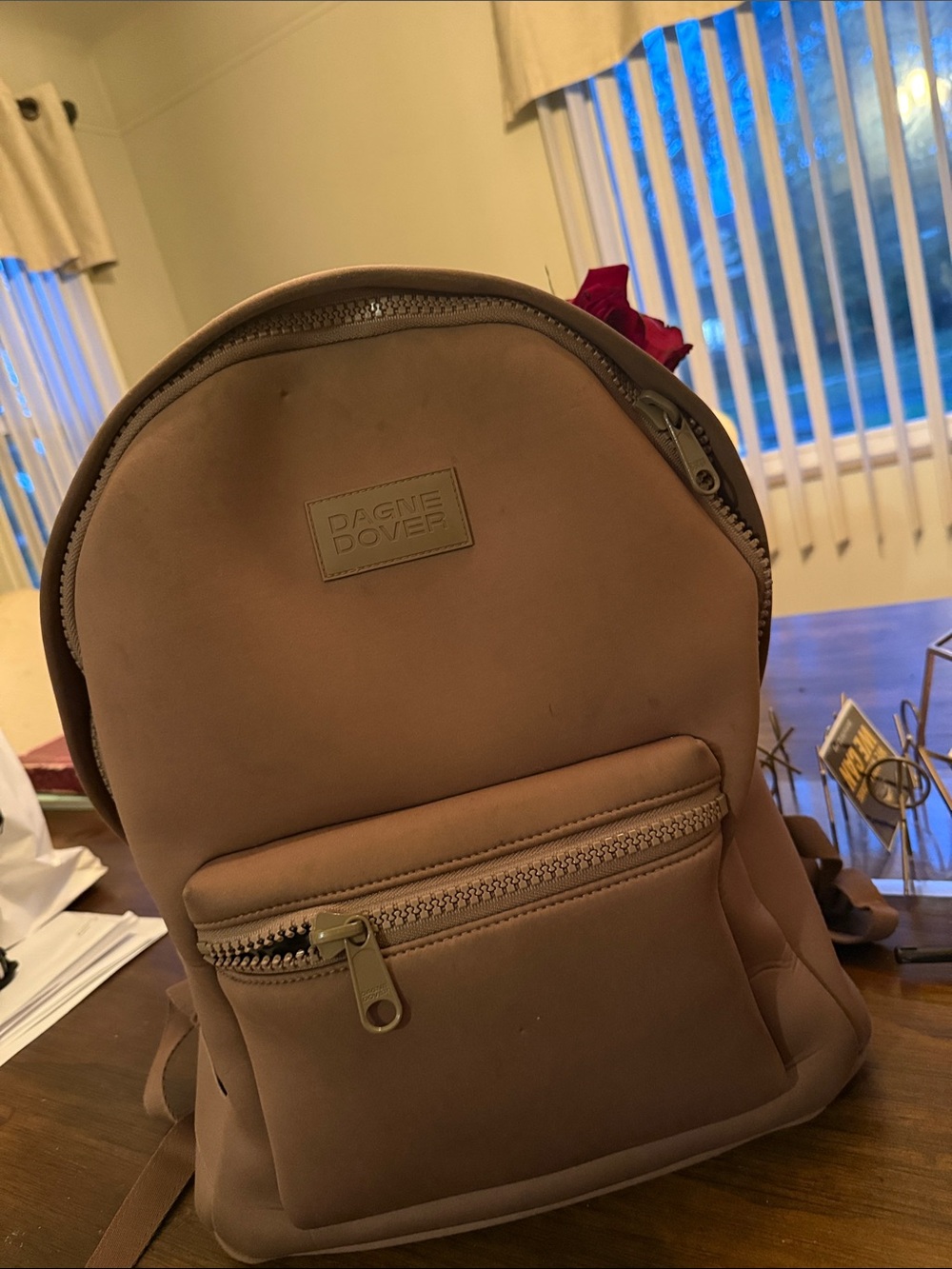 Dagne Dover Women’s Bookbag